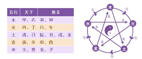 名典八字算命,名典八字算命免費(fèi)測八字縮略圖