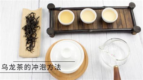 烏龍茶的正確沖泡方法(烏龍茶的正確沖泡方法和視頻)縮略圖