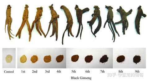 高麗參的功效與作用(高麗參的功效與作用適合哪些人)縮略圖