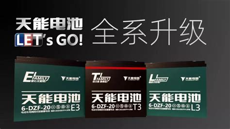 天能電池系列哪種最好,天能電池最好的是哪一種型號縮略圖