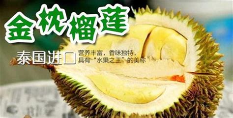 廣西榴蓮多少錢一斤現(xiàn)在市場價,榴蓮一手貨源去哪里進(jìn)貨縮略圖