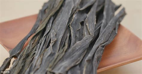 昆布和海藻的功效與主治(昆布和海藻的功效與主治巧記)縮略圖
