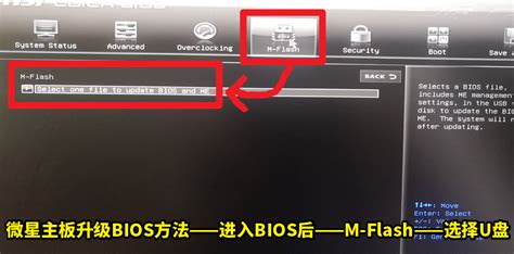 微星主板bios怎么進(jìn),微星主板bios怎么進(jìn)u盤啟動(dòng)縮略圖
