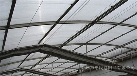 塑鋼線(塑鋼線生產(chǎn)廠家)縮略圖
