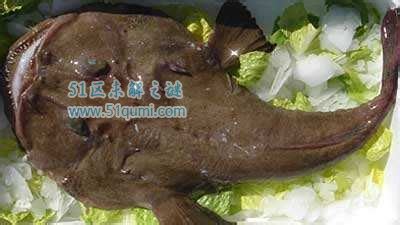 安康魚又叫什么名字(安康魚又叫什么名字呢)縮略圖