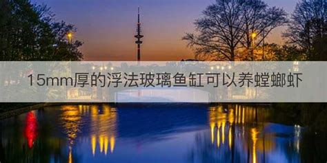 螳螂蝦擊碎玻璃魚(yú)缸,螳螂蝦敲碎魚(yú)缸縮略圖