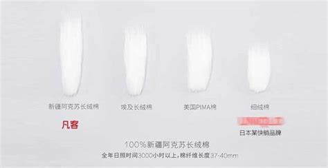 長絨棉和匹馬棉的區(qū)別(長絨棉和匹馬棉哪個(gè)質(zhì)量好些)縮略圖