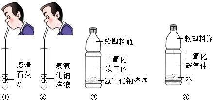 石灰水的化學(xué)式,石灰石的化學(xué)式縮略圖