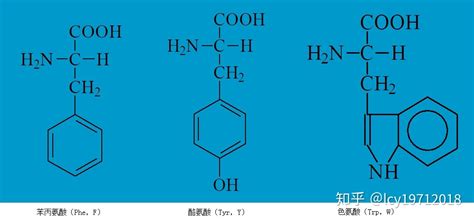 氨基酸價格多少一瓶(250毫升氨基酸價格多少一瓶)縮略圖