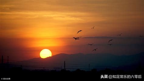 搟面杖吹火打一歇后語,搟面杖吹火打一歇后語指什么生肖縮略圖