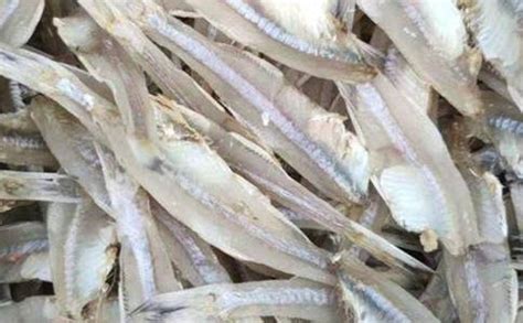 丁香魚干和銀魚干的區(qū)別,丁香魚干的營養(yǎng)價(jià)值及功效縮略圖
