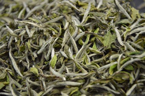 福鼎白茶白牡丹,福鼎白茶白牡丹價(jià)格縮略圖