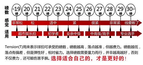 羽毛球拍磅數怎么選,羽毛球拍磅數怎么選新手縮略圖