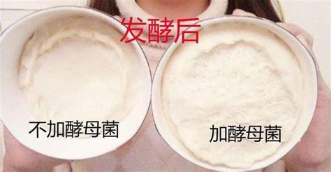 酵母粉對人有副作用嗎,酵母粉和益生菌區別縮略圖
