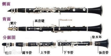 黑管樂(lè)器初學(xué)入門(mén)視頻(黑管樂(lè)器初學(xué)入門(mén)視頻教程)縮略圖