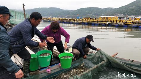 漁具批發(fā)市場在什么地方,廣州漁具批發(fā)市場新址在什么地方縮略圖