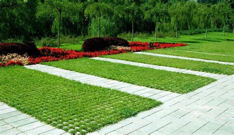 植草磚廠家,水泥植草磚廠家縮略圖