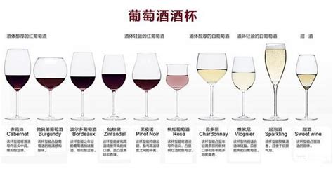 紅酒杯選多大尺寸合適(紅酒杯選多大尺寸合適呢)縮略圖