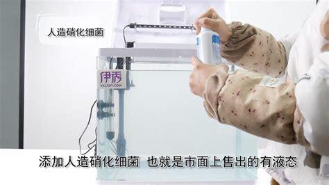 硝化細(xì)菌怎么培養(yǎng)(硝化細(xì)菌怎么培養(yǎng)快)縮略圖