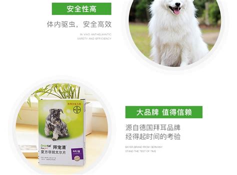 拜寵清體內驅蟲藥(拜寵清體內驅蟲藥怎么樣)縮略圖