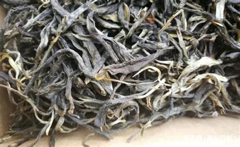 古樹茶的特點(diǎn),古樹茶的特點(diǎn)是什么縮略圖