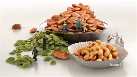 高堅果升至3階后獲得了什么能力,高堅果升至4階后獲得了什么能力縮略圖