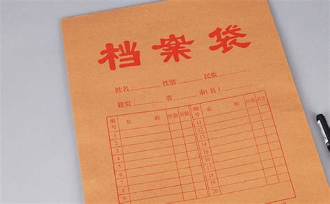 檔案袋不見了怎么辦(檔案袋不見了怎么辦補辦)縮略圖