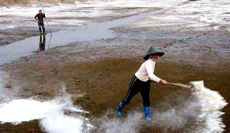 石灰水用什么清洗才干凈(車(chē)上石灰水痕跡怎么清洗干凈)縮略圖
