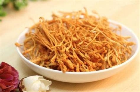 蟲(chóng)草花煮多久能吃(新鮮蟲(chóng)草花煮多久能吃)縮略圖