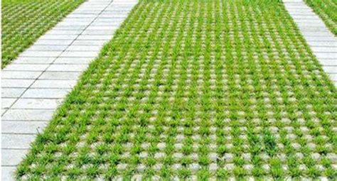 植草磚怎么鋪設(植草磚怎么鋪設好看)縮略圖