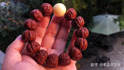 桃核怎么種才能發芽(桃核怎么種才能發芽長出苗)縮略圖