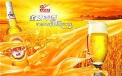 金威啤酒還有生產(chǎn)嗎,金威啤酒哪里生產(chǎn)的縮略圖