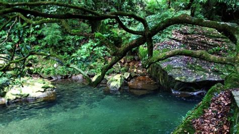 斗篷山(斗篷山風(fēng)景區(qū))縮略圖