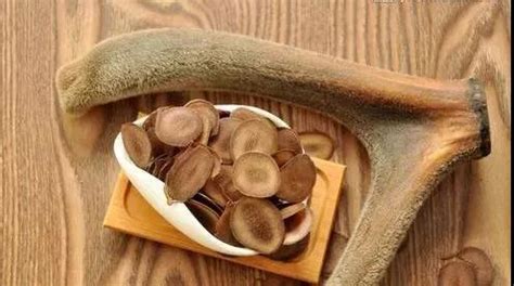 鹿茸片泡水方法,鹿茸片泡水方法鹿茸泡水的比例?縮略圖
