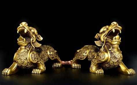 貔恘(貔恘手串怎么佩戴專家怎么說)縮略圖