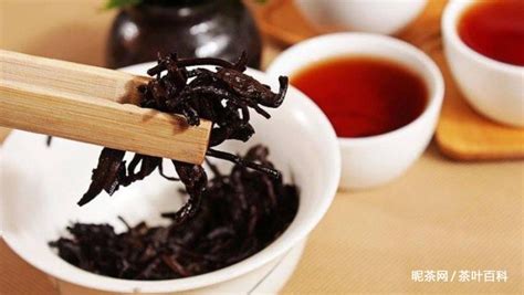 古樹茶怎么泡才好喝(古樹茶怎么泡才好喝竅門)縮略圖