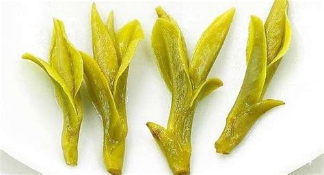 龍井茶葉怎么區(qū)分好壞,龍井茶葉怎么區(qū)分好壞圖片縮略圖