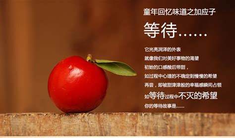 加應子是什么東西(加應子是哪里的特產)縮略圖