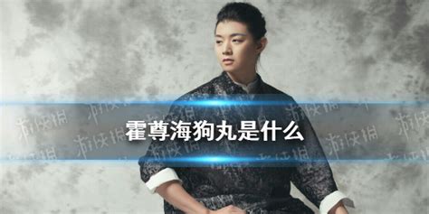 海狗丸是什么(海狗丸是什么東西)縮略圖