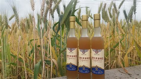 青稞酒是哪個民族的特色飲品(青稞酒是哪里的特產(chǎn))縮略圖