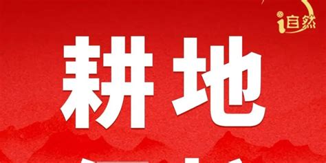 黑土地保護(hù)法,黑土地保護(hù)法實(shí)施時間縮略圖