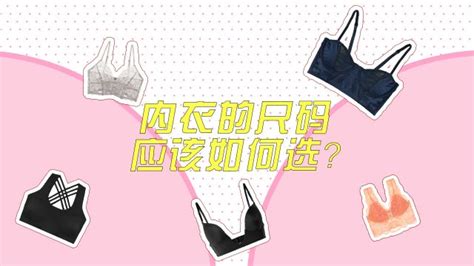 文胸和胸罩有什么區(qū)別嗎(文胸和胸罩有什么區(qū)別)縮略圖