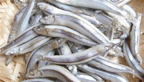 丁香魚干多少錢一斤(丁香魚干價(jià)格大概多少)縮略圖