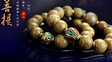 菩提子圖片(菩提子圖片高清大圖)縮略圖