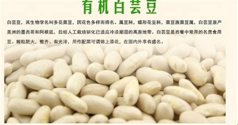 白蕓豆的正確吃法(白蕓豆怎么做好吃法大全)縮略圖