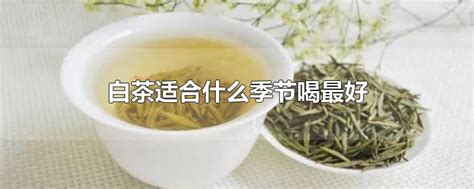 白茶最好的三個品牌(白茶最好的三個品牌排名)縮略圖