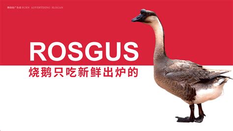 燒鵝加盟店哪個牌子好(燒鵝品牌排行榜前十名)縮略圖