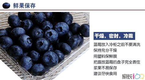 藍莓干的功效與作用及副作用,藍莓干的功效與作用及副作用禁忌縮略圖