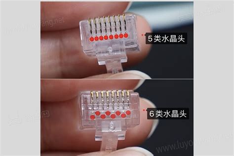 網線水晶頭排線圖片(網線水晶頭排線圖片順序)縮略圖