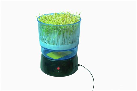 豆芽機怎么發豆芽的全部流程(豆芽機怎么發豆芽的全部流程視頻)縮略圖